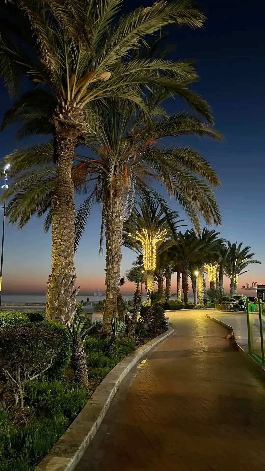 Agadir's palm-lined coast at sunset