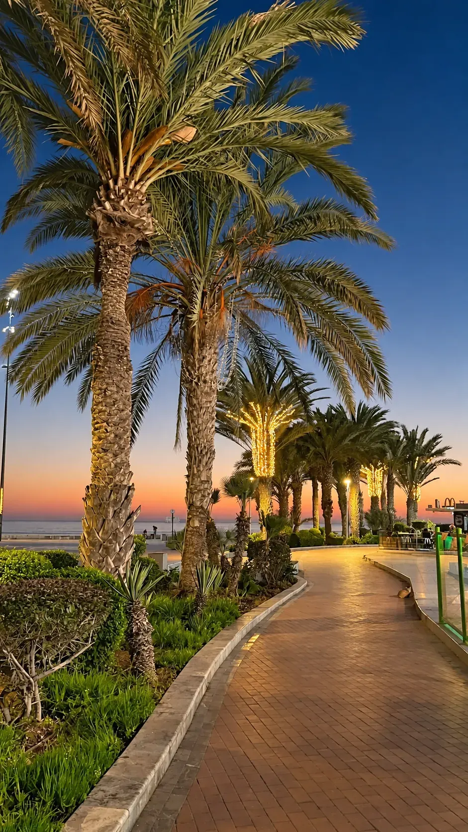 Agadir's palm-lined promenade at dusk
